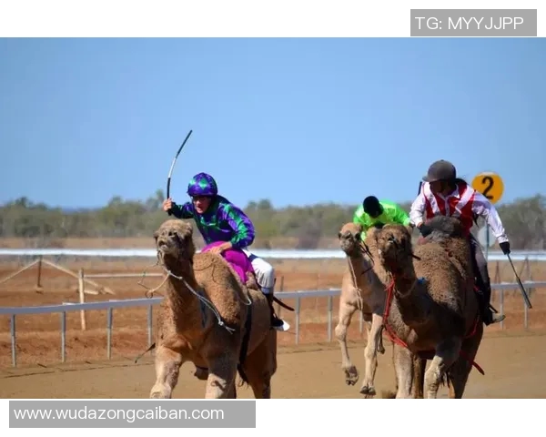 爱丁堡城与咸美顿的激烈对决谁能在这场比赛中脱颖而出