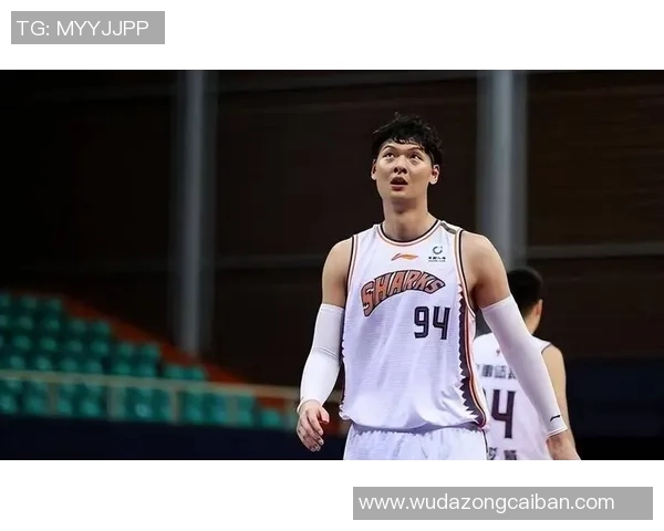 王哲林在CBA赛季中的精彩表现与未来发展潜力分析